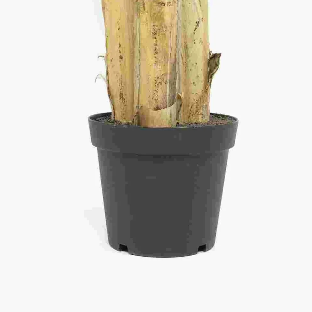 Planta Artificial Bananeira 200cm