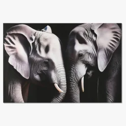 Quadro de Vidro Elefantes
