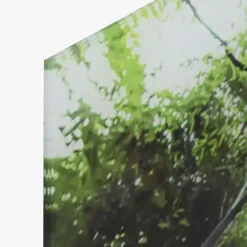 Quadro de Vidro Floresta