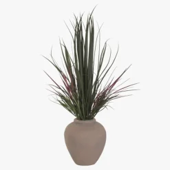 Vaso de cerâmica com Planta Dracaena