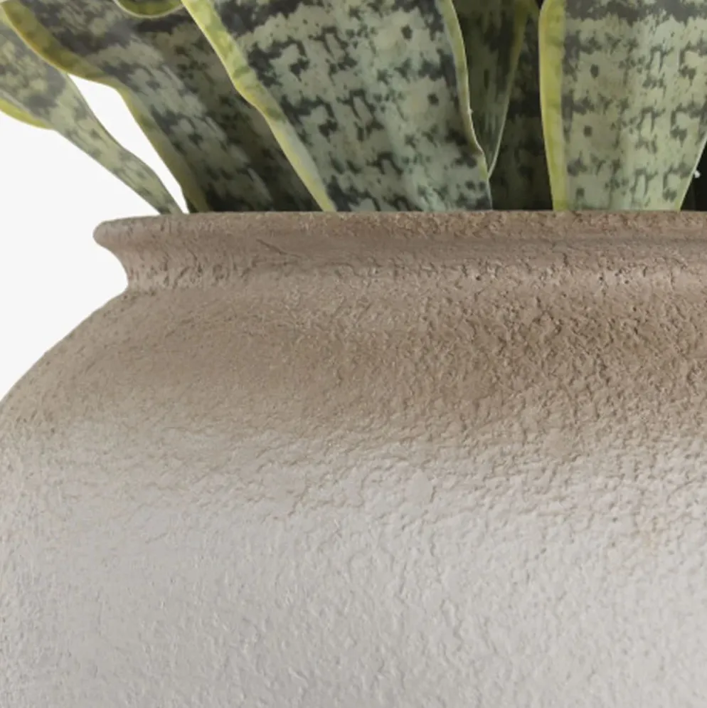 Vaso de cerâmica com Planta Sansevieria